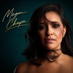 Perfect Comedy by Megan Chapa cover art